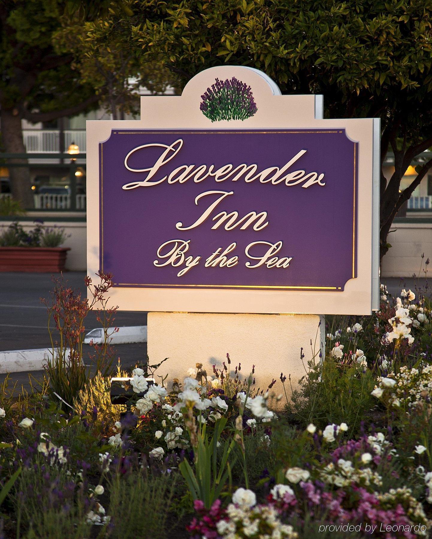 Lavender Inn By The Sea Santa Barbara Exteriör bild